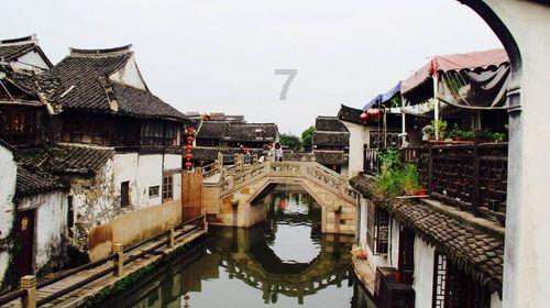 拯救巧虎3